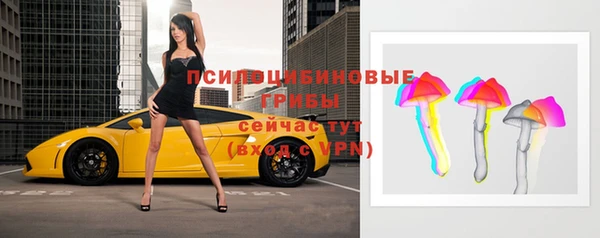 крисы Абдулино