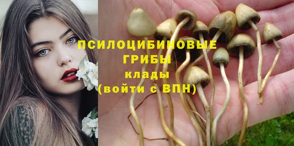 тгк Абинск